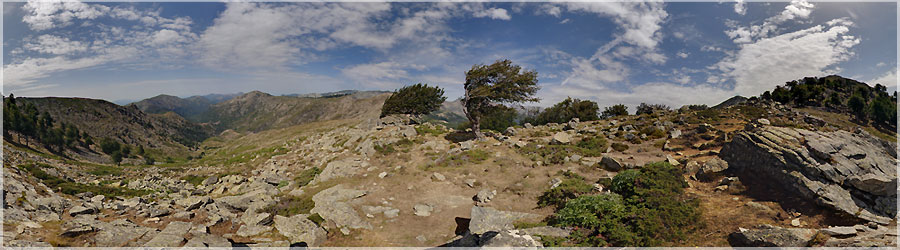 GR20 : Arbres Penchs : il y a du vent ! 10e jour : Il y a vraiment beaucoup de vent cette journe, nous remarquons que certains arbres ont pris le pli, et se sont parfaitement acclimats... www.360x180.fr Selme Matthieu