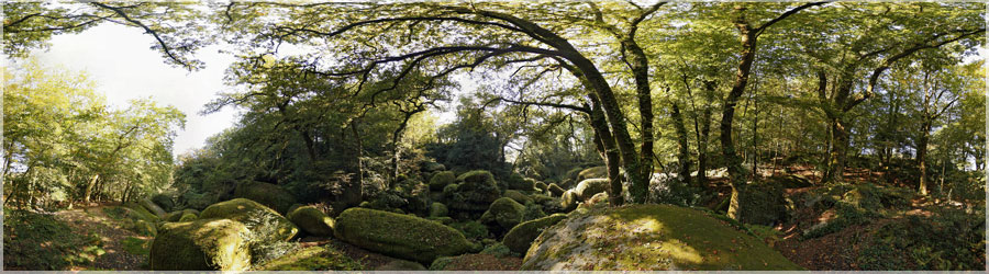 Rivire de gros Cailloux, Fort de Huelgoat (Finistre) La fort du Huelgoat. www.360x180.fr Selme Matthieu