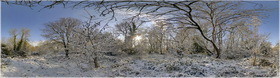 Neige en Bretagne Bois enneig Loperhet, Finistre ! www.360x180.fr Selme Matthieu