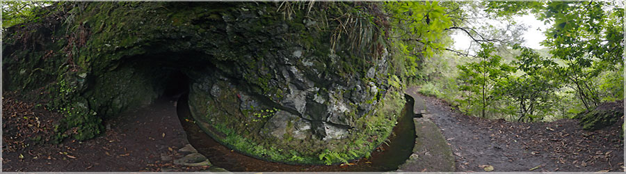 Levada et tunnel Une levada est un canal d'irrigation, ou encore un aqueduc. Elles frent cres ds le XVI sicle pour acheminer l'eau  travers l'le pour irriguer les cultures. En effet, il pleut normment sur le Nord-Ouest de l'le, tandis que le versant Sud-Est est beaucoup plus sec, mais son ensoleillement permet  l'agriculture de mieux s'y dvelopper. L'le de Madre tant montagneuse, il a fallu creuser de nombreux tunnels (environ 40km) lors de la construction des levadas, souvent avec un outillage trs sommaire, compos d'un marteau et d'un burin... www.360x180.fr Selme Matthieu