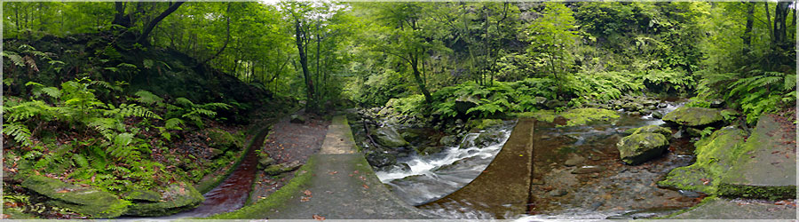 Source de la levada Cette le fait 57km de long, pour 23km de large  l'endroit le plus large, et pourtant, le rseau total des levadas s'tend sur plus de 2150km !(il n'y a pas d'erreurs sur le nombre ! ) Certaines levadas sont aussi utilises pour alimenter des usines hydro-lectriques. Enfin, il existe des levadas a flan de montagne, creuses dans la roche : aucun sentier n'a t construit  ct du canal. La seule solution pour s'y promener est de mettre les pieds dans l'eau sur le tronon o le sentier manque ! www.360x180.fr Selme Matthieu