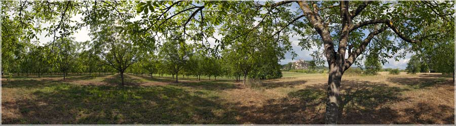 Chteau de Beynac au milieu des noyers Le chteau de Beynac est situ sur la commune de Beynac-et-Cazenac, dans le dpartement de la Dordogne et plus prcisment dans le Prigord noir. Ce chteau est l'un des mieux conservs et l'un des plus rputs de la rgion. Il a t class par les Monuments historiques le 11 fvrier 1944.. C'est une construction mdivale, d'allure austre, perche sur le haut d'une falaise calcaire dominant le bourg sur la rive droite de la Dordogne. Le chteau prsente la forme d'un quadrilatre irrgulier prolong au sud par un bastion en peron. Le svre donjon, garni de crneaux, date du XIIIe sicle. Protg du ct du plateau par une double enceinte, le chteau surplombe la Dordogne de 150m. www.360x180.fr Selme Matthieu