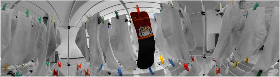 Les chaussettes de Robert Une vision inédite en plein milieu du séchoir à linge, entourée par des chaussettes, dont celles de Robert ! www.360x180.fr Selme Matthieu